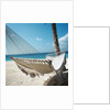 Hammock on a Beach by Anonymous