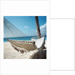 Hammock on a Beach by Anonymous