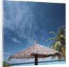 Cabana and Palm Trees by Anonymous