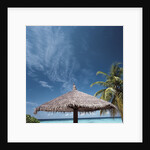 Cabana and Palm Trees by Anonymous