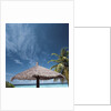 Cabana and Palm Trees by Anonymous