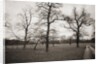 Countryside in Winter by Anonymous