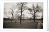Countryside in Winter by Anonymous
