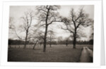 Countryside in Winter by Anonymous
