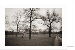 Countryside in Winter by Anonymous