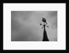 Weathervane by Anonymous