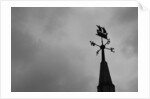 Weathervane by Anonymous