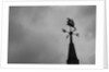 Weathervane by Anonymous