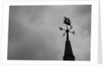 Weathervane by Anonymous