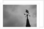 Weathervane by Anonymous