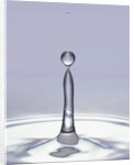 Droplet of Water and Ripple by Anonymous