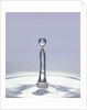 Droplet of Water and Ripple by Anonymous