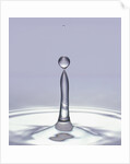 Droplet of Water and Ripple by Anonymous