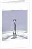 Droplet of Water and Ripple by Anonymous