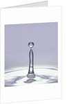 Droplet of Water and Ripple by Anonymous