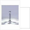 Droplet of Water and Ripple by Anonymous