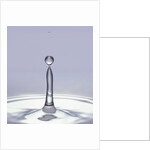 Droplet of Water and Ripple by Anonymous