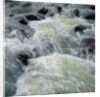 River Rapids by Anonymous