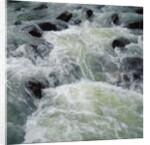 River Rapids by Anonymous