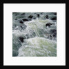 River Rapids by Anonymous