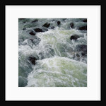 River Rapids by Anonymous
