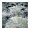 River Rapids by Anonymous