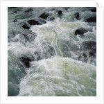 River Rapids by Anonymous