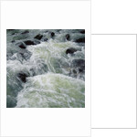 River Rapids by Anonymous