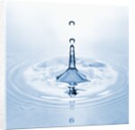 Water Droplet and Ripple by Anonymous