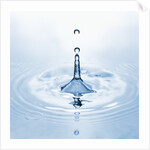 Water Droplet and Ripple by Anonymous