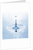 Water Droplet and Ripple by Anonymous