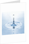 Water Droplet and Ripple by Anonymous
