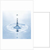 Water Droplet and Ripple by Anonymous