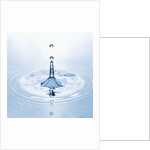 Water Droplet and Ripple by Anonymous