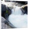 Rapids Churning River by Anonymous