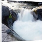 Rapids Churning River by Anonymous