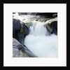 Rapids Churning River by Anonymous