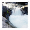 Rapids Churning River by Anonymous