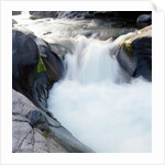 Rapids Churning River by Anonymous