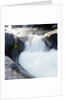 Rapids Churning River by Anonymous