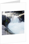 Rapids Churning River by Anonymous