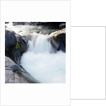Rapids Churning River by Anonymous