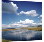 River Running Through Countryside by Anonymous