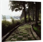 A stone footpath by Anonymous