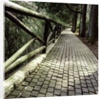 A footpath and barrier by Anonymous