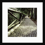 A footpath and barrier by Anonymous