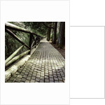 A footpath and barrier by Anonymous