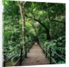 Wooden Bridge Thailand by Anonymous