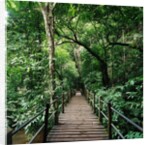 Wooden Bridge Thailand by Anonymous