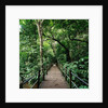 Wooden Bridge Thailand by Anonymous